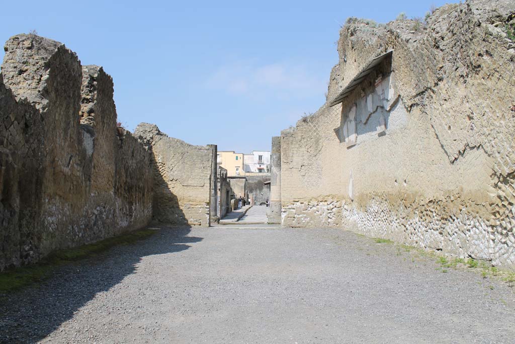 Ins. Orientalis II.4, Herculaneum, March 2014. Looking west across large entrance hall.
Foto Annette Haug, ERC Grant 681269 DÉCOR
