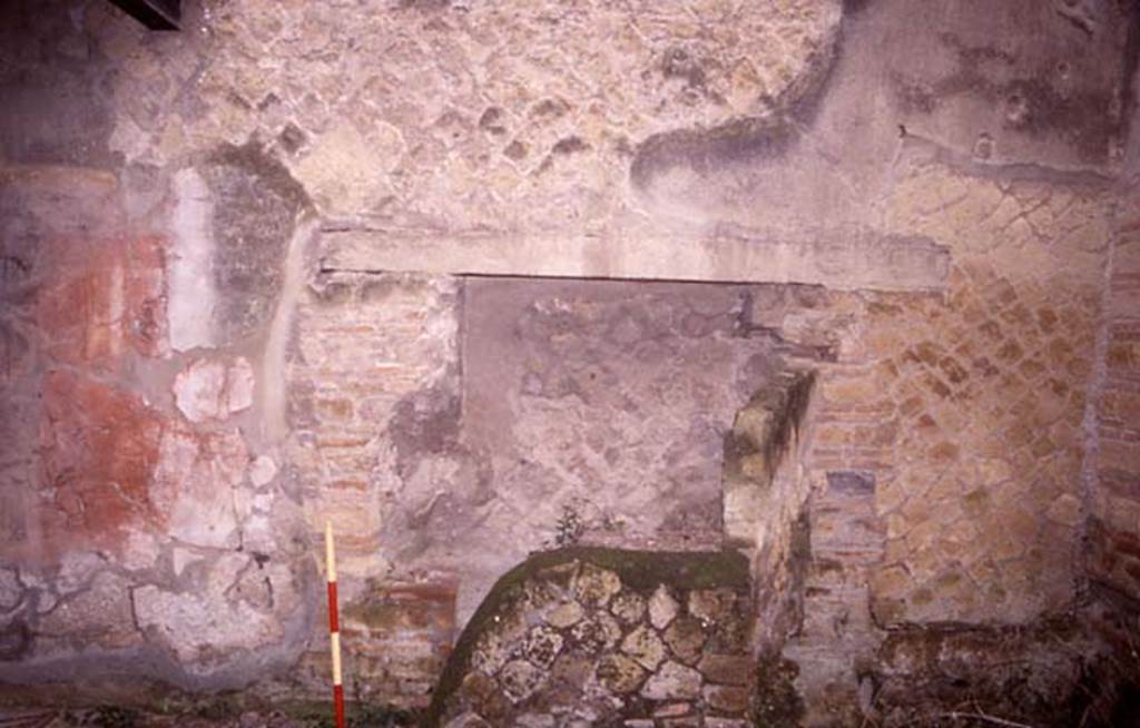 Ins Or II, 9, Herculaneum. July 2001. Detail from south wall of wine-shop. Photo courtesy of Nicolas Monteix.