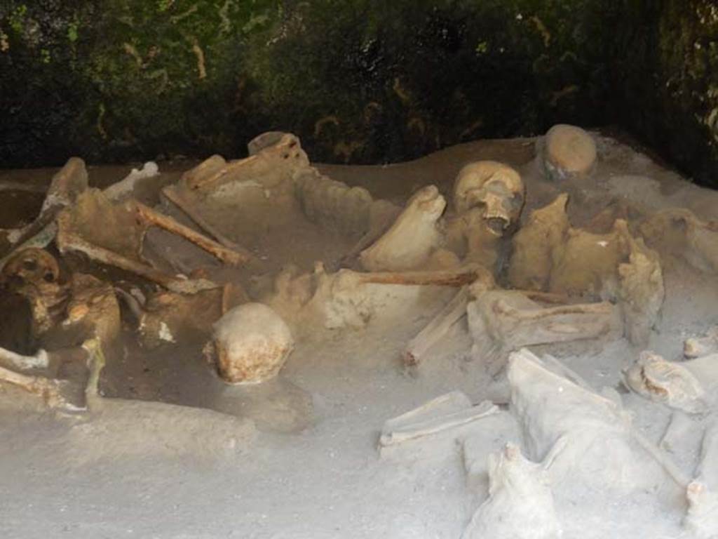 Beachfront, Herculaneum, May 2018. Boatshed 1, detail of some of the skeletons of fugitives. Photo courtesy of Buzz Ferebee.