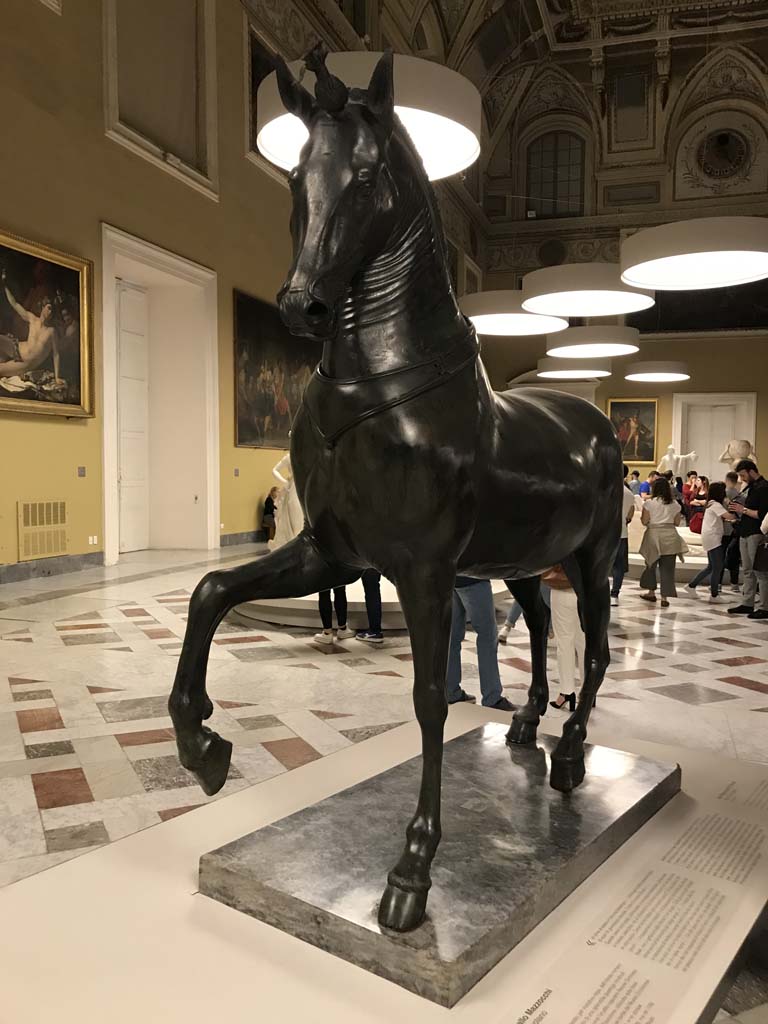 Herculaneum Theatre. April 2019. Mazzocchi horse.
Now in Naples Archaeological Museum. Inventory number 4904.
Photo courtesy of Rick Bauer.
