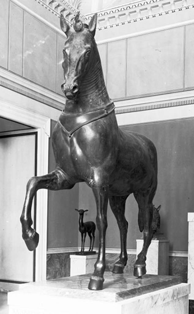 Herculaneum Theatre. 1895. Reconstructed bronze horse from a quadriga.
Now in Naples Archaeological Museum. Inventory number 4904.