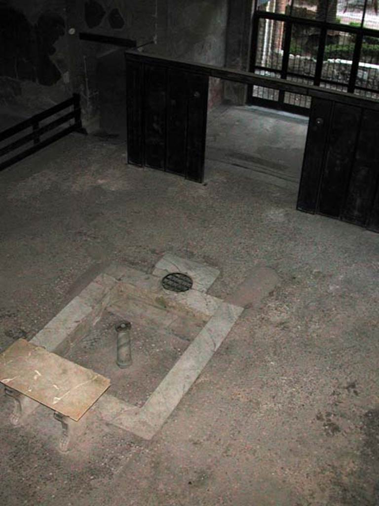 III.11 Herculaneum. September 2003. Looking down onto impluvium in atrium. 
The rainwater spouts of the compluvium directed the water into the impluvium for storage in the cistern below it.
Photo courtesy of Nicolas Monteix. 

