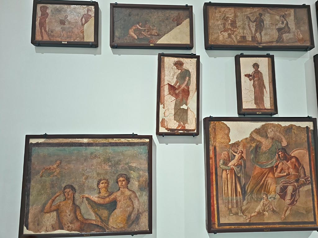Herculaneum Augusteum. April 2023. Paintings on upper row – 9054, 8864 and 9522.
Paintings on middle row – 9374 and 8949.
Paintings on lower row – 9239 and 9012.
On display in “Campania Romana” gallery in Naples Archaeological Museum.  Photo courtesy of Giuseppe Ciaramella.
