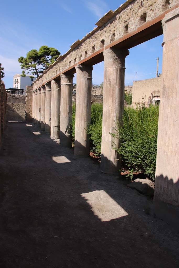 II.2 Herculaneum. August 2021. Looking north from southern end of east portico, taken from II.1. Photo courtesy of Robert Hanson.