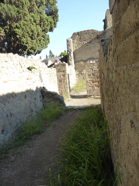II.2 Herculaneum, September 2015. Looking east along north portico.