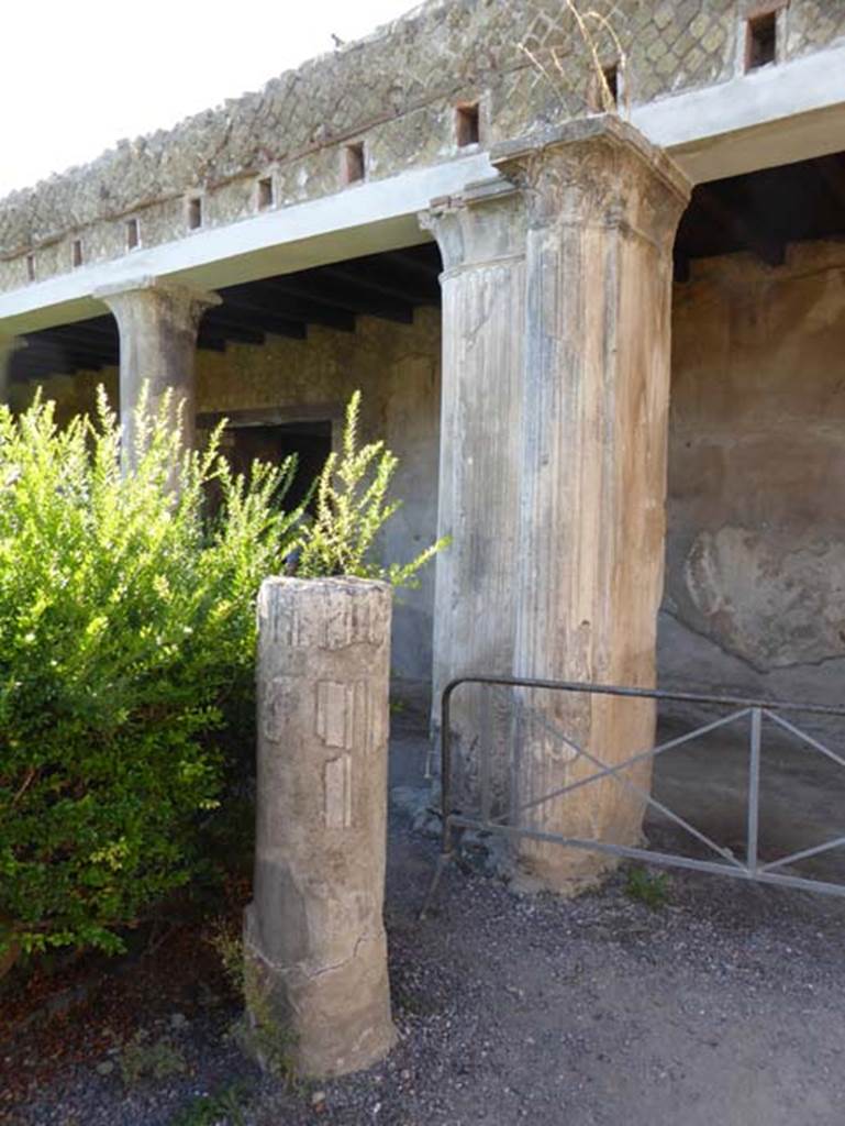 II.2 Herculaneum, September 2015. Looking south-west from west end of north portico.  Photo courtesy of Michael Binns.

