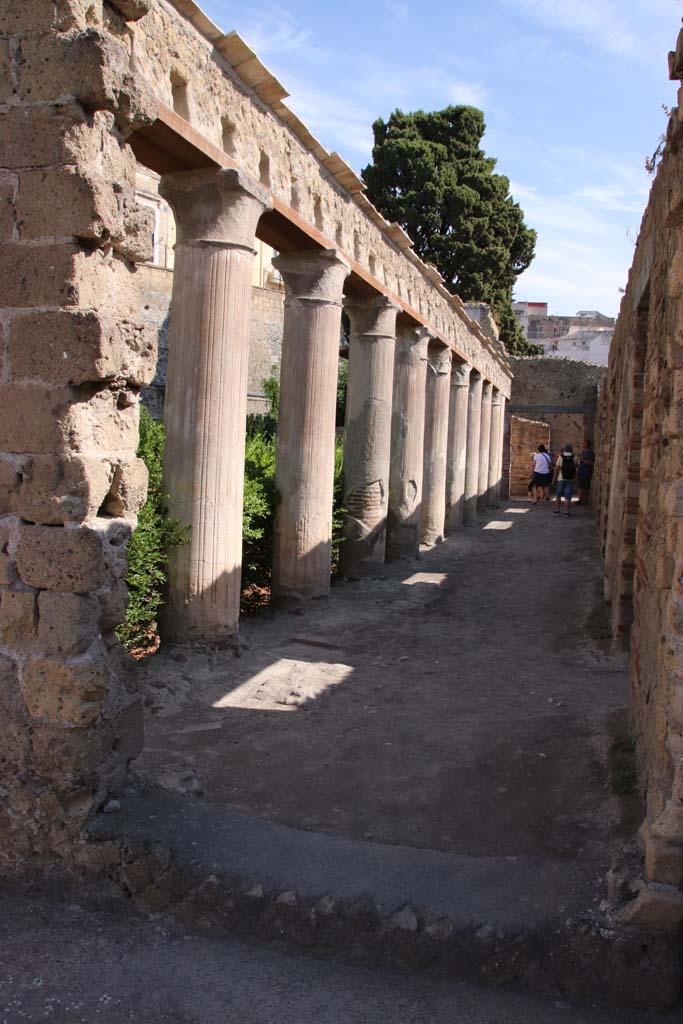 II.2 Herculaneum, September 2019. 
Looking north towards peristyle, through the doorway formed from a Bourbon tunnel, from II.1. 
Photo courtesy of Klaus Heese.

