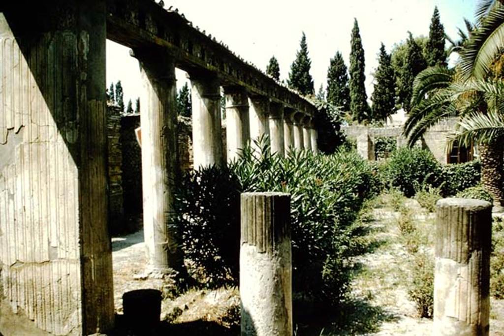 II.2, Herculaneum, 1957. Looking south along east side of peristyle. Photo by Stanley A. Jashemski.
Source: The Wilhelmina and Stanley A. Jashemski archive in the University of Maryland Library, Special Collections (See collection page) and made available under the Creative Commons Attribution-Non Commercial License v.4. See Licence and use details. J57f0432

