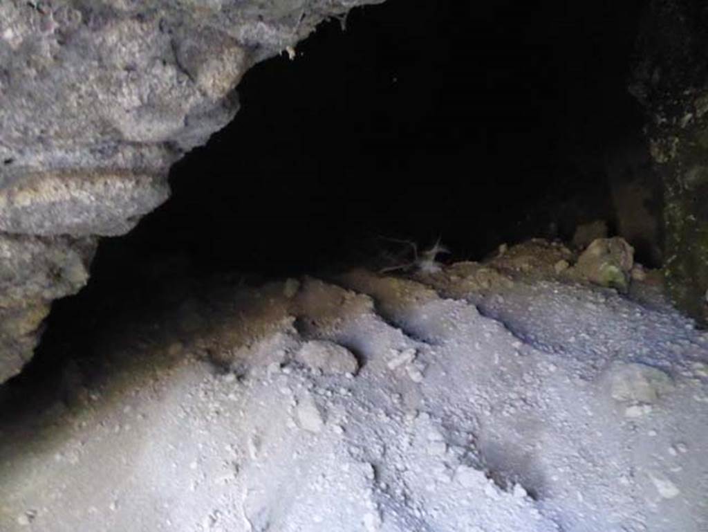 II.3 Herculaneum, September 2015. Looking into Bourbon tunnel.