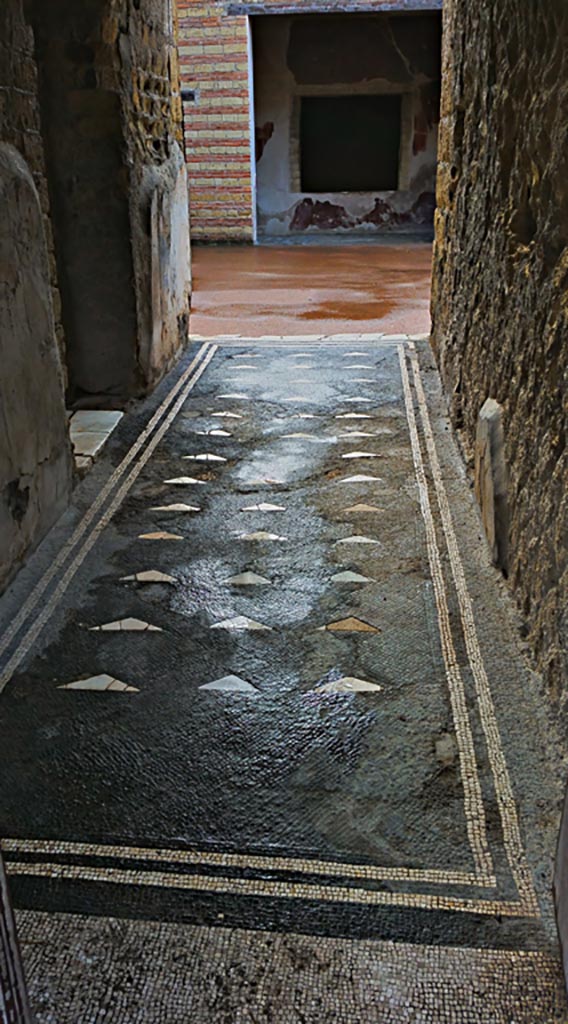 III.3 Herculaneum. August 2021. Looking east along mosaic floor in entrance corridor. Photo courtesy of Robert Hanson