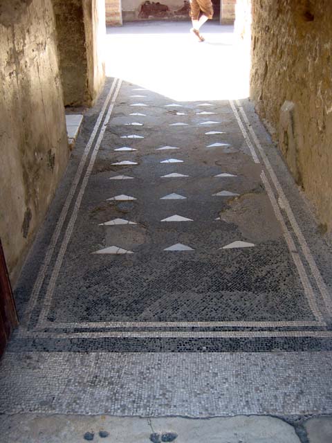 III.3 Herculaneum. September 2019. Looking east along mosaic floor in entrance corridor.
Photo courtesy of Klaus Heese.
