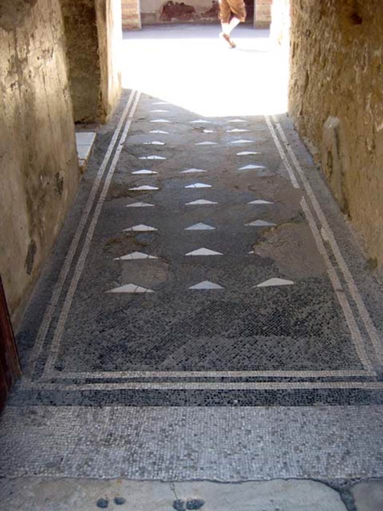 III.3 Herculaneum. June 2011. Looking east along mosaic floor in entrance corridor. Photo courtesy of Sera Baker.
