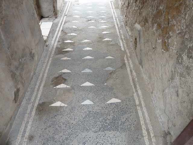 III.3 Herculaneum. June 2011. Looking east along mosaic floor in entrance corridor. Photo courtesy of Sera Baker.
