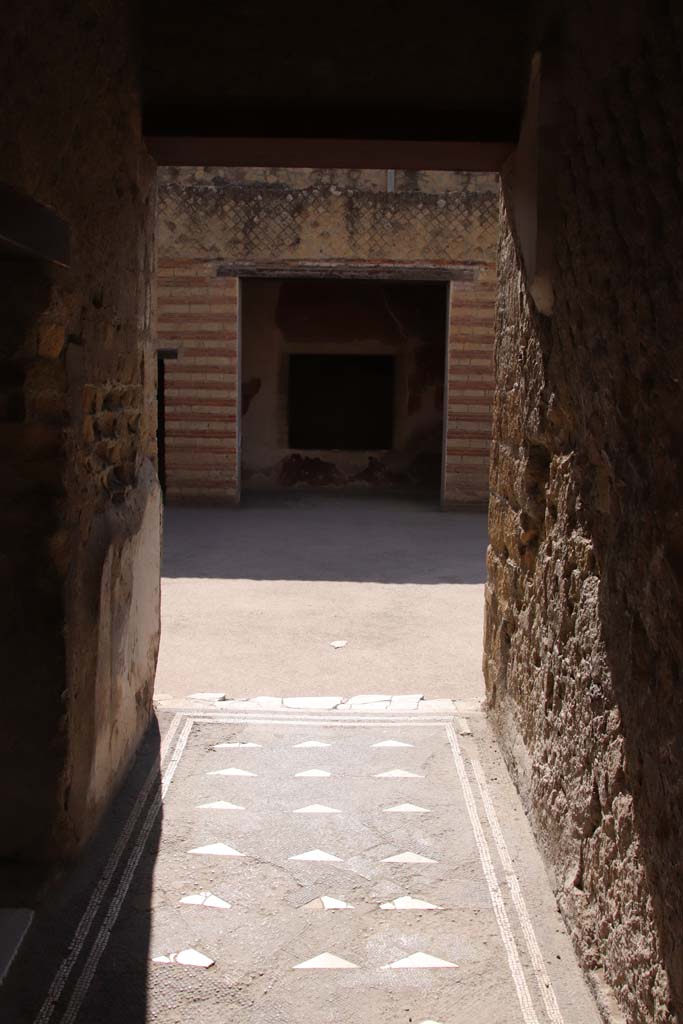 III.3 Herculaneum. May 2010. Black mosaic floor of entrance corridor, with triangular pieces of inset marble. 