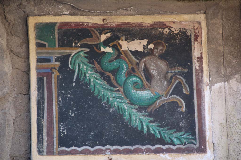 III.3 Herculaneum. April 2014. Most northerly of the three central reproduction mosaics of the frieze.
Photo courtesy of Klaus Heese.
According to Guidobaldi and Esposito, this shows one of a pair of tritons resting on a hanging garland.
Original now in Naples Archaeological Museum. Inventory number 10011.
