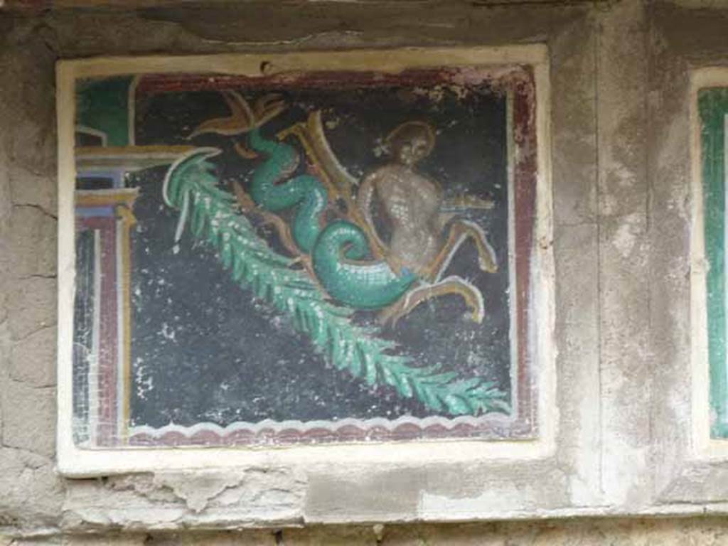 III.3 Herculaneum. May 2010. Most northerly of the three central reproduction mosaics of the frieze.
According to Guidobaldi and Esposito, this shows one of a pair of tritons resting on a hanging garland.
Original now in Naples Archaeological Museum.
