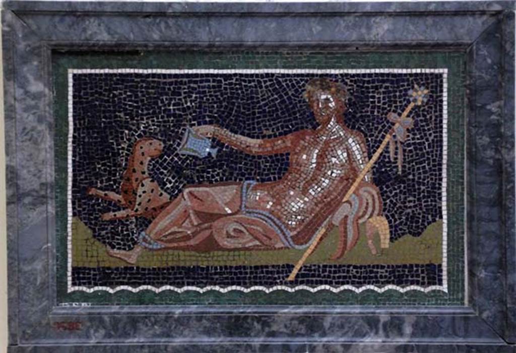 III.3 Herculaneum, Original of central of the three mosaics of the frieze.
According to Guidobaldi and Esposito, this shows a reclining Dionysus with his panther (inv. 9989), which was flanked by the pair of tritons.
Naples Archaeological Museum, inventory number 9989.
