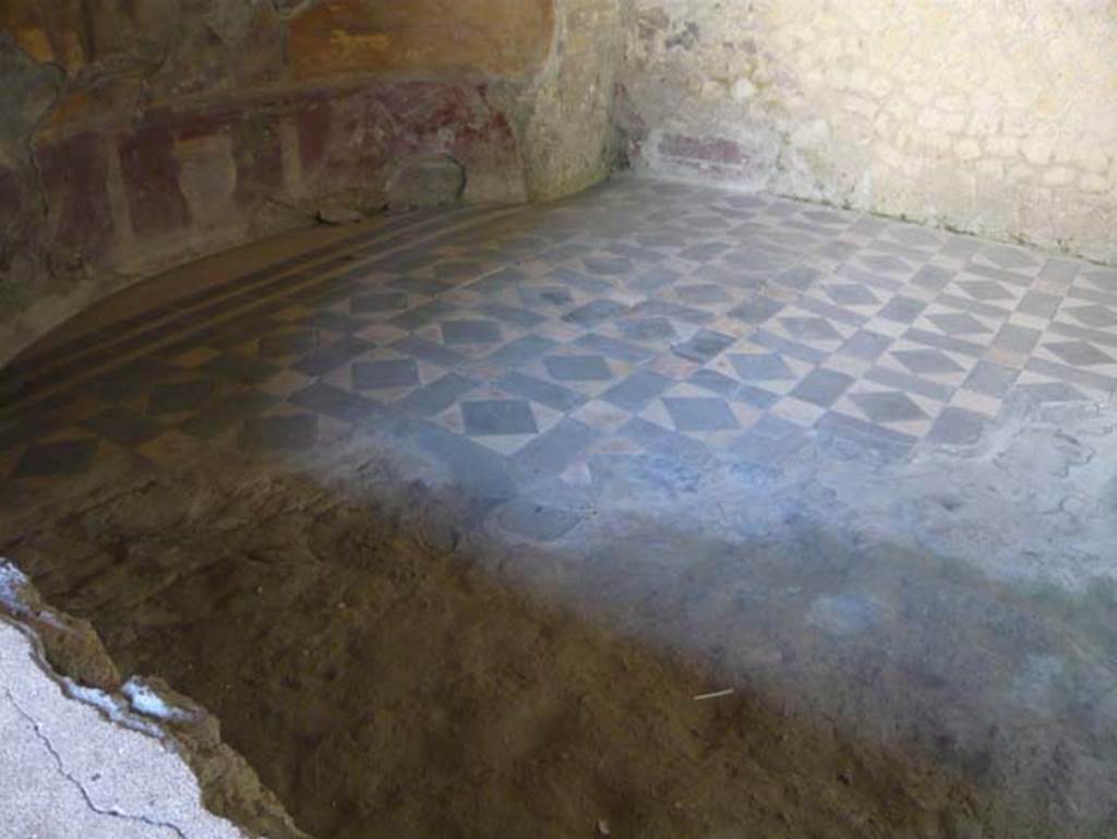 III.3 Herculaneum. August 2013. Looking across opus sectile flooring in triclinium. 
Photo courtesy of Buzz Ferebee.


