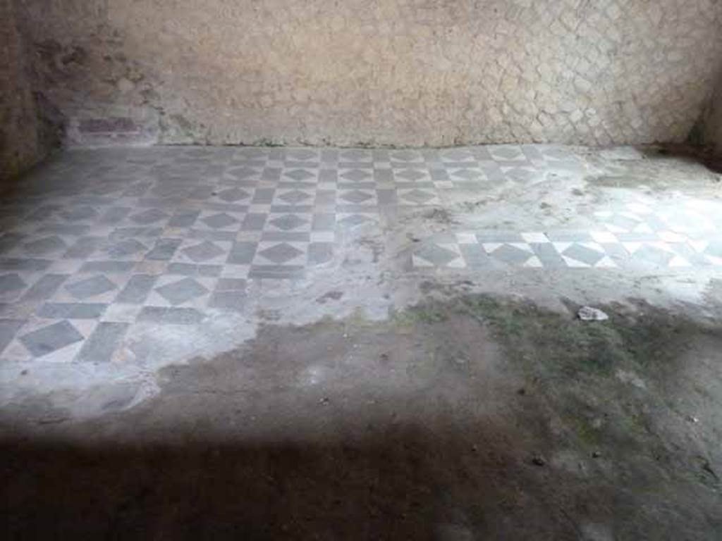 III.3 Herculaneum. May 2010. Looking east across opus sectile floor in triclinium.