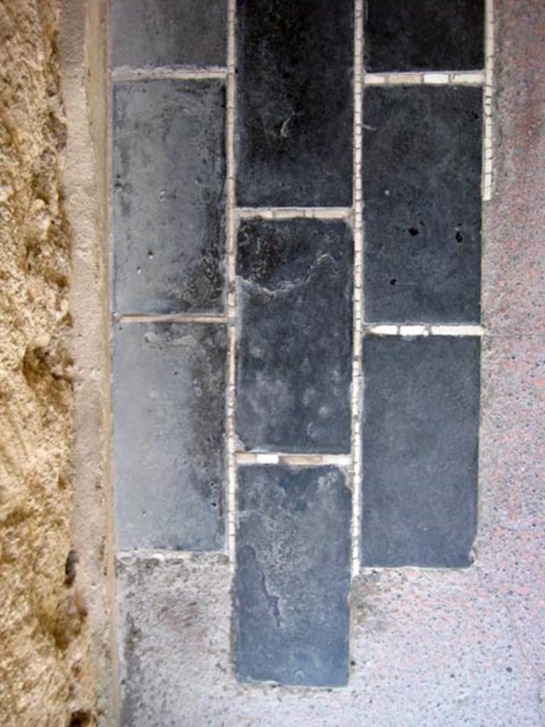 III.3 Herculaneum, June 2011. Detail of flooring in corridor leading to triclinium.  
Photo courtesy of Sera Baker.
