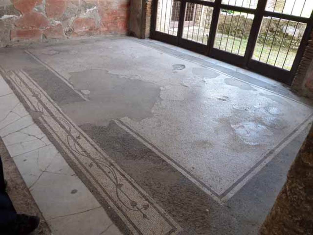 III.11 Herculaneum. May 2010. Room 9, looking south-west across mosaic floor in tablinum.