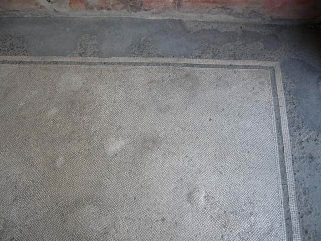 III.11 Herculaneum. August 2013. Tablinum mosaic floor. Photo courtesy of Buzz Ferebee.

