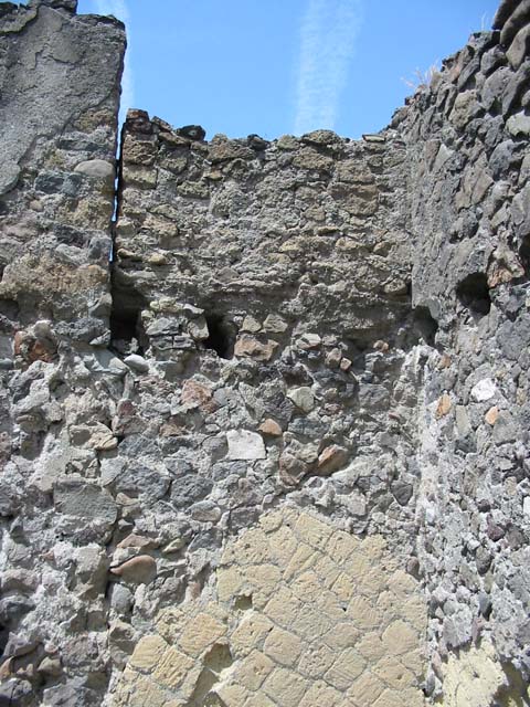IV.6, Herculaneum, May 2003. Room 7, detail of west wall in north-west corner. 
Photo courtesy of Nicolas Monteix.
