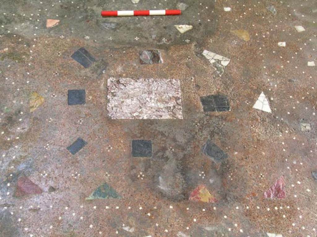 IV, 14, Herculaneum, May 2004. Detail of flooring, looking south. Photo courtesy of Nicolas Monteix.