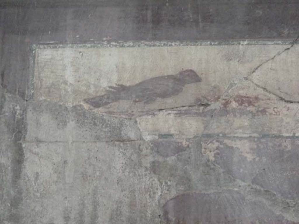 Ins. IV.15/16, Herculaneum, September 2015. Detail of painted panel with bird decoration.