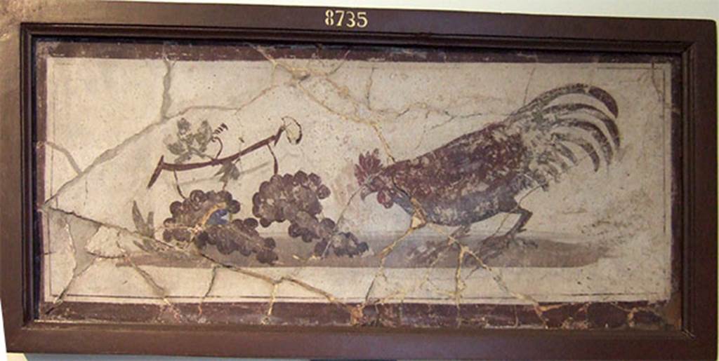 IV.21, Herculaneum.  A cock, on the right, is about to peck at two grapes, still attached to the vine-shoot. Possibly found  31st July 1748. Now in Naples Archaeological Museum. Inventory number 8735.

