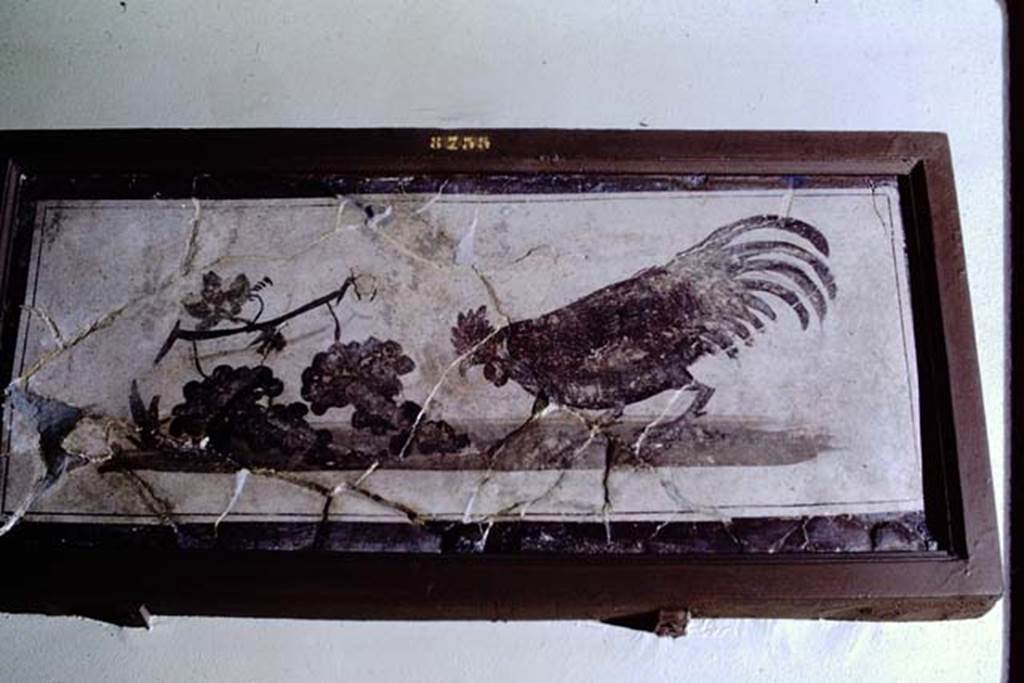 IV.21, Herculaneum. 1968. A cock, on the right, is about to peck at two grapes, still attached to the vine-shoot. Possibly found  31st July 1748. Photo by Stanley A. Jashemski.
Source: The Wilhelmina and Stanley A. Jashemski archive in the University of Maryland Library, Special Collections (See collection page) and made available under the Creative Commons Attribution-Non-Commercial License v.4. See Licence and use details. J68f0789.  Now in Naples Archaeological Museum. Inventory number 8735.



