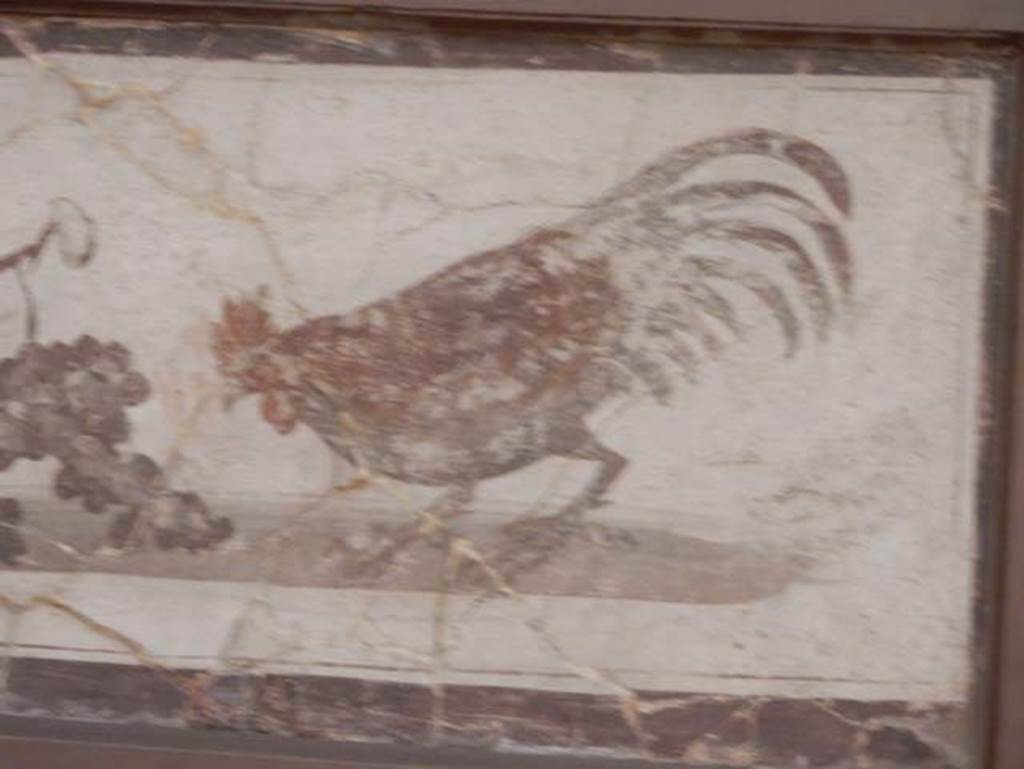 IV.21, Herculaneum. May 2016. Detail from painting of the cock. Photo courtesy of Buzz Ferebee.  Now in Naples Archaeological Museum. Inventory number 8735.  Possibly found  31st July 1748. 

