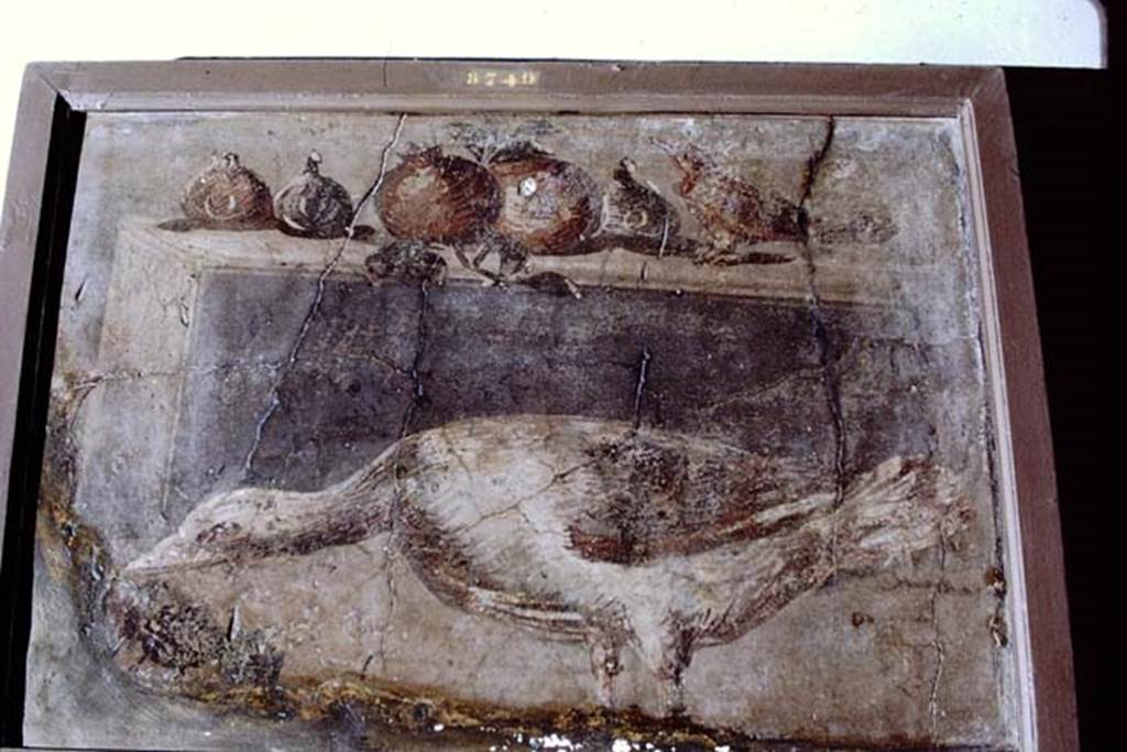 IV.21, Herculaneum. 1968. Wall painting, possibly found 31st July 1748, in ?Casa dei Cervi. Photo by Stanley A. Jashemski.
Source: The Wilhelmina and Stanley A. Jashemski archive in the University of Maryland Library, Special Collections (See collection page) and made available under the Creative Commons Attribution-Non-Commercial License v.4. See Licence and use details.
J68f0784
Now in Naples Archaeological Museum. Inventory number 8749.
