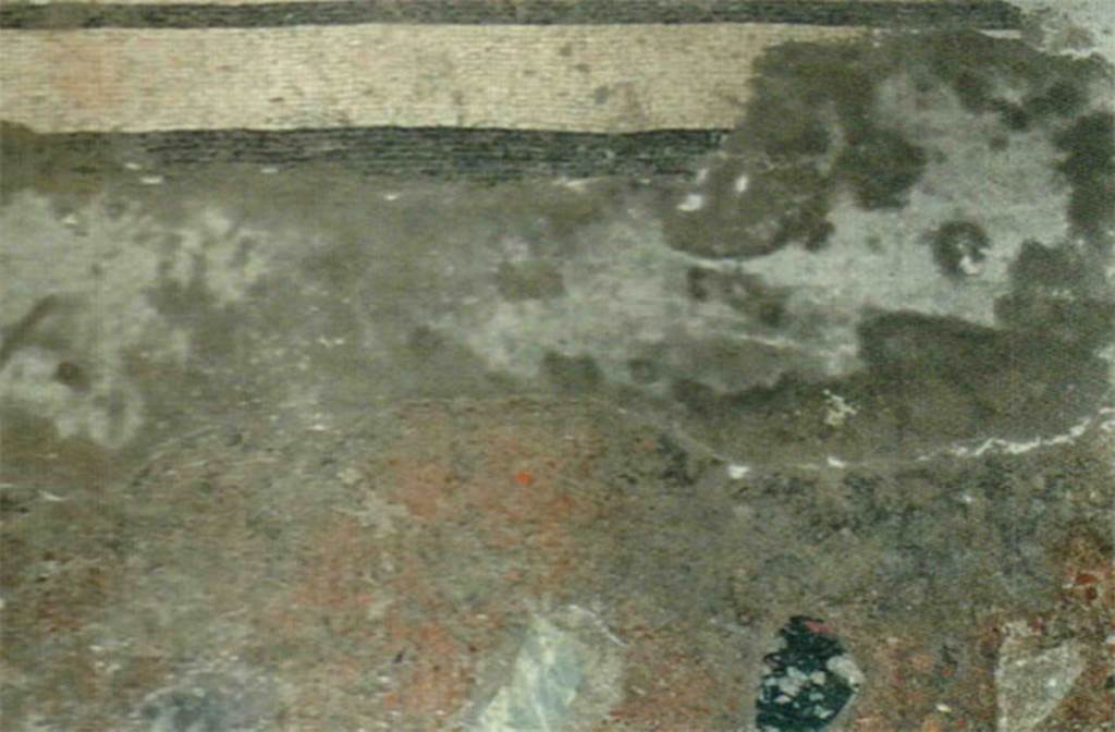 Herculaneum IV.21 ambiente 8, clay-based cement with marble inserts.
Photo  Sposito, Francesca, Area archeologica, Casa dei Cervi (IV,21), ambiente 8, cementizio a base fittile con inserti marmorei, in TESS  scheda 18406 (http://tess.beniculturali.unipd.it/web/scheda/?recid=18406), 2016