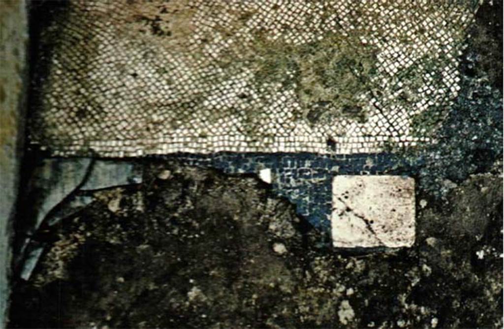 Herculaneum IV.21 diaeta 22, white mosaic with marble inserts.
Photo  Sposito, Francesca, Area archeologica, Casa dei Cervi (IV,21), diaeta 22, tessellato bianco e con inserti marmorei, in TESS  scheda 18420 (http://tess.beniculturali.unipd.it/web/scheda/?recid=18420), 2016
