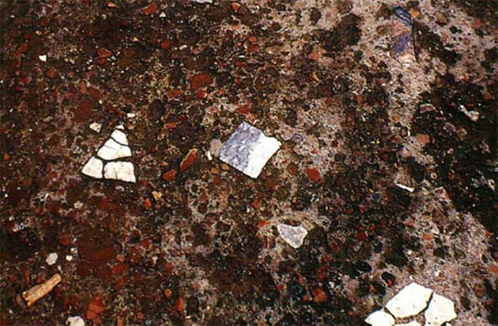 Herculaneum IV.21 floor, cement based on clay with mixed inserts and tesserae.
Photo  Sposito, Francesca, Area archeologica, Casa dei Cervi (IV,21), marciapiede, cementizio a base fittile con inserti misti e tessere, in TESS  scheda 18385 (http://tess.beniculturali.unipd.it/web/scheda/?recid=18385), 2016
