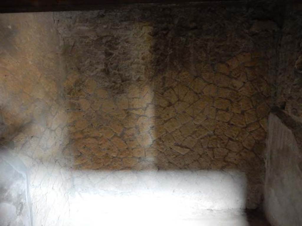 IV.21, Herculaneum. May 2018. Room 8, looking towards north wall. Photo courtesy of Buzz Ferebee. 