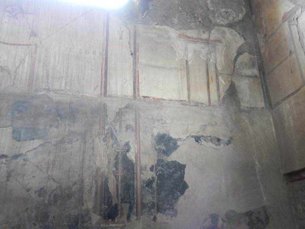 IV.21, Herculaneum. May 2018. Room 6, upper south wall and south-west corner. Photo courtesy of Buzz Ferebee.