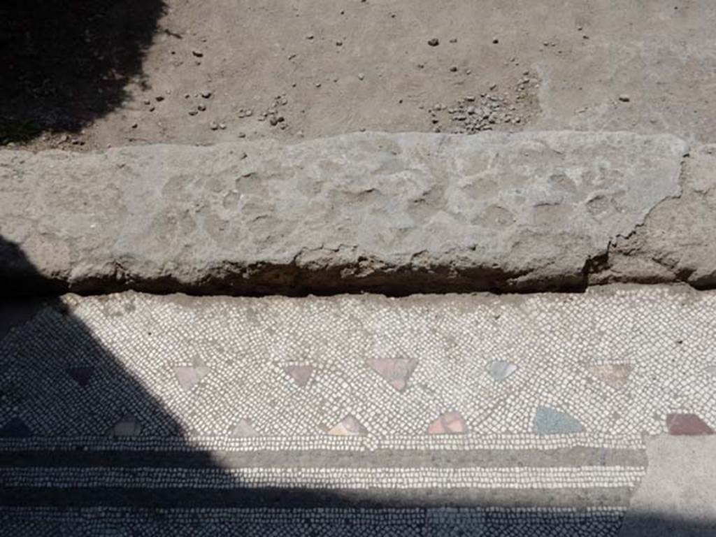 IV.21, Herculaneum. May 2018. Cryptoporticus 28, flooring and threshold leading to Garden 32, in centre of south wall.
Photo courtesy of Buzz Ferebee. 
