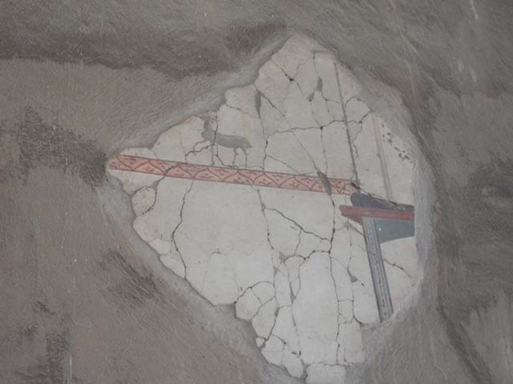 IV.21, Herculaneum. May 2018. Cryptoporticus 29, painted decoration from upper east wall. 
Photo courtesy of Buzz Ferebee. 

