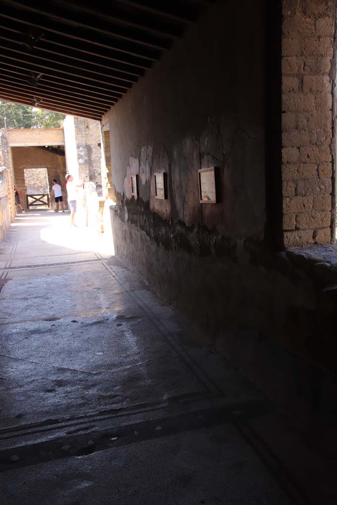 IV.21, Herculaneum, September 2019. Looking south along cryptoporticus 29, west wall of the east portico. 
Photo courtesy of Klaus Heese.
