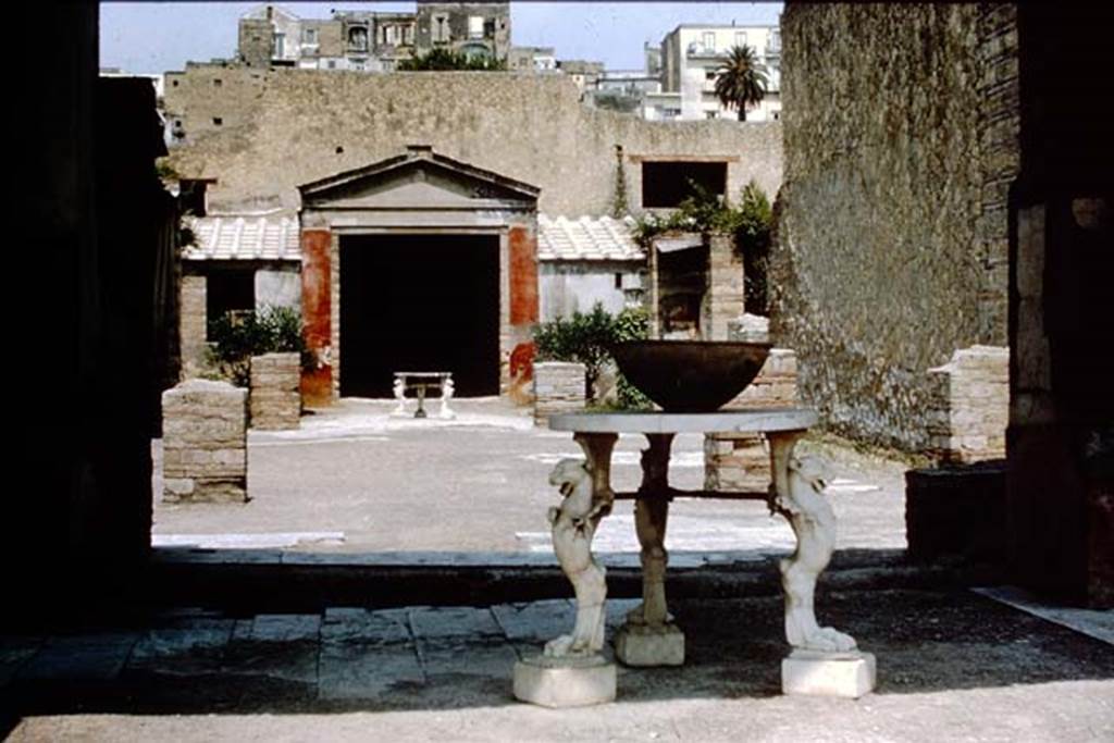 IV.21, Herculaneum. 1964. Looking north through the large triclinium 15 and across the garden area, from room 18. 
Photo by Stanley A. Jashemski.
Source: The Wilhelmina and Stanley A. Jashemski archive in the University of Maryland Library, Special Collections (See collection page) and made available under the Creative Commons Attribution-Non-Commercial License v.4. See Licence and use details.
J64f1424
