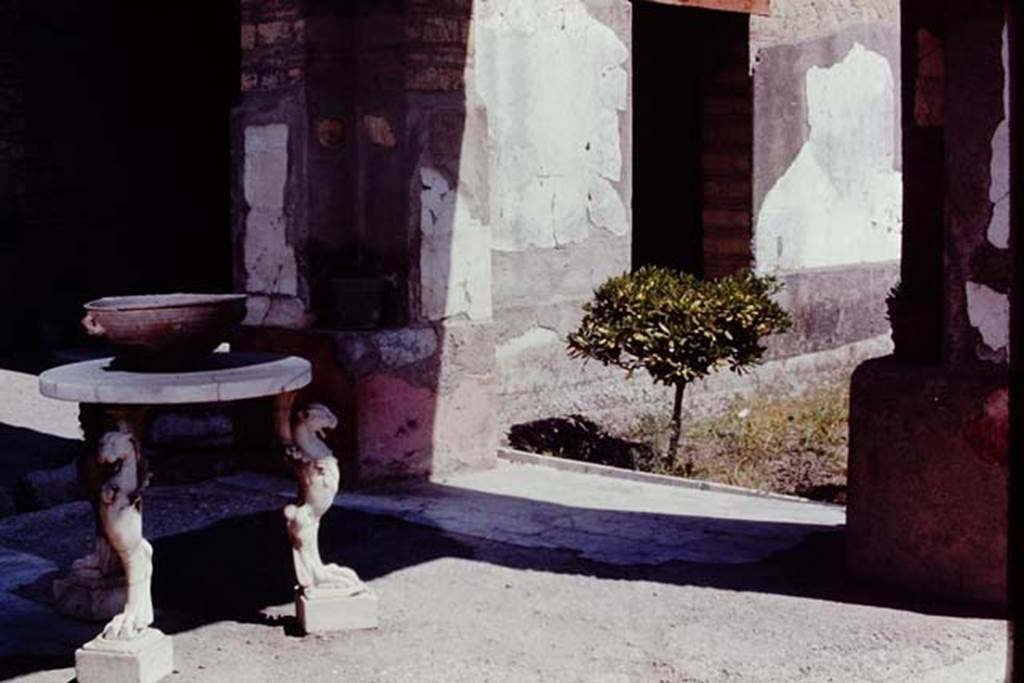 IV.21, Herculaneum. 1968. Room 18, looking north-east across table on terrace. Photo by Stanley A. Jashemski.
Source: The Wilhelmina and Stanley A. Jashemski archive in the University of Maryland Library, Special Collections (See collection page) and made available under the Creative Commons Attribution-Non-Commercial License v.4. See Licence and use details.
J68f1831
