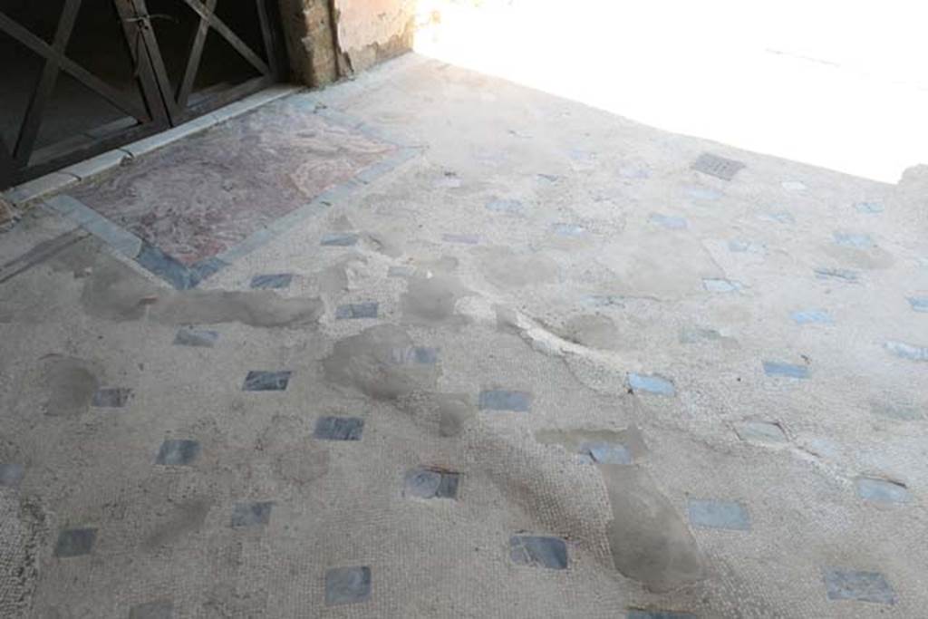 IV.21, Herculaneum, June 2017, Cryptoporticus 30, flooring near doorway to room 16. Photo courtesy of Michael Binns.