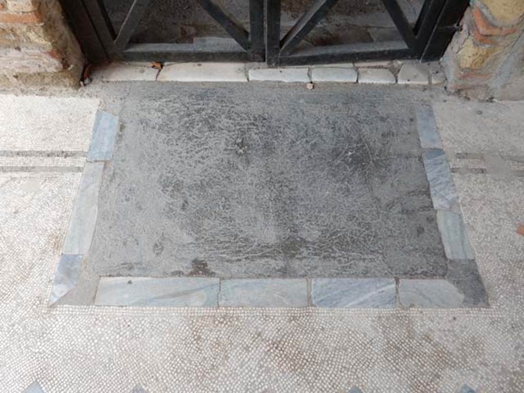 IV.21, Herculaneum. May 2018. Oecus 17, threshold of doorway, and flooring on Cryptoporticus 30, looking north.
Photo courtesy of Buzz Ferebee. 

