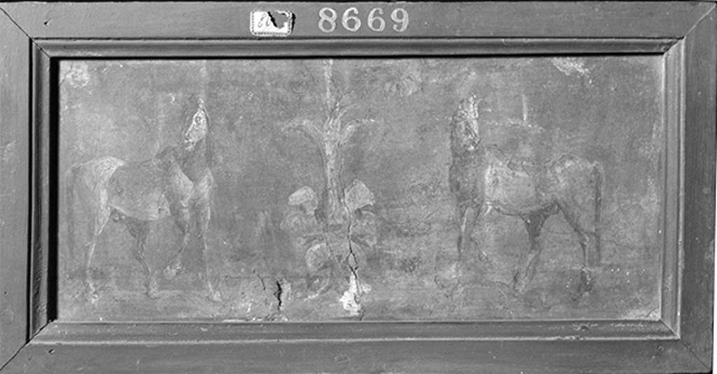 IV.21 Herculaneum. Oecus 17. Fresco with two horses to the right and left of a flower.
Now in Naples Archaeological Museum. Inventory number 8669.
This illustration shows two horses to the right and left of a flower and was cut out in room 17; the red-ground fragment (inv. No. 8669) has below the side panels some counterparts that have remained in-situ, in each case pigeons, panthers and deer to the right and left of a flower.
See Allroggen-Bedel A., 1975. Der Hausherr der Casa dei Cervi in Herculaneum. Cronache Ercolanese 5, pp. 101-102. 

