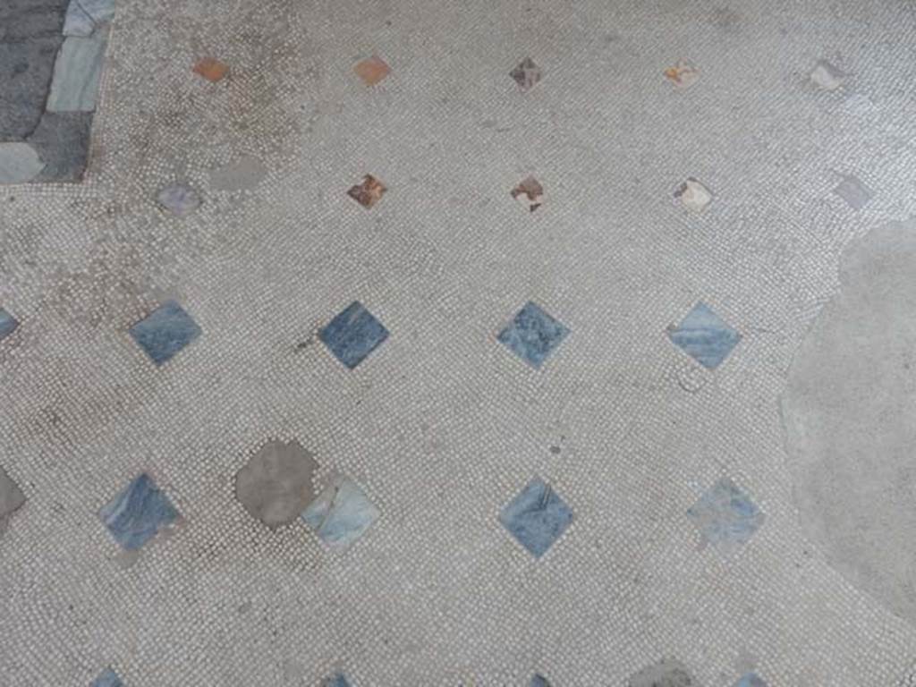 IV.21, Herculaneum. May 2018. Cryptoporticus 30, detail of flooring near doorway to Oecus 17.
Photo courtesy of Buzz Ferebee. 
