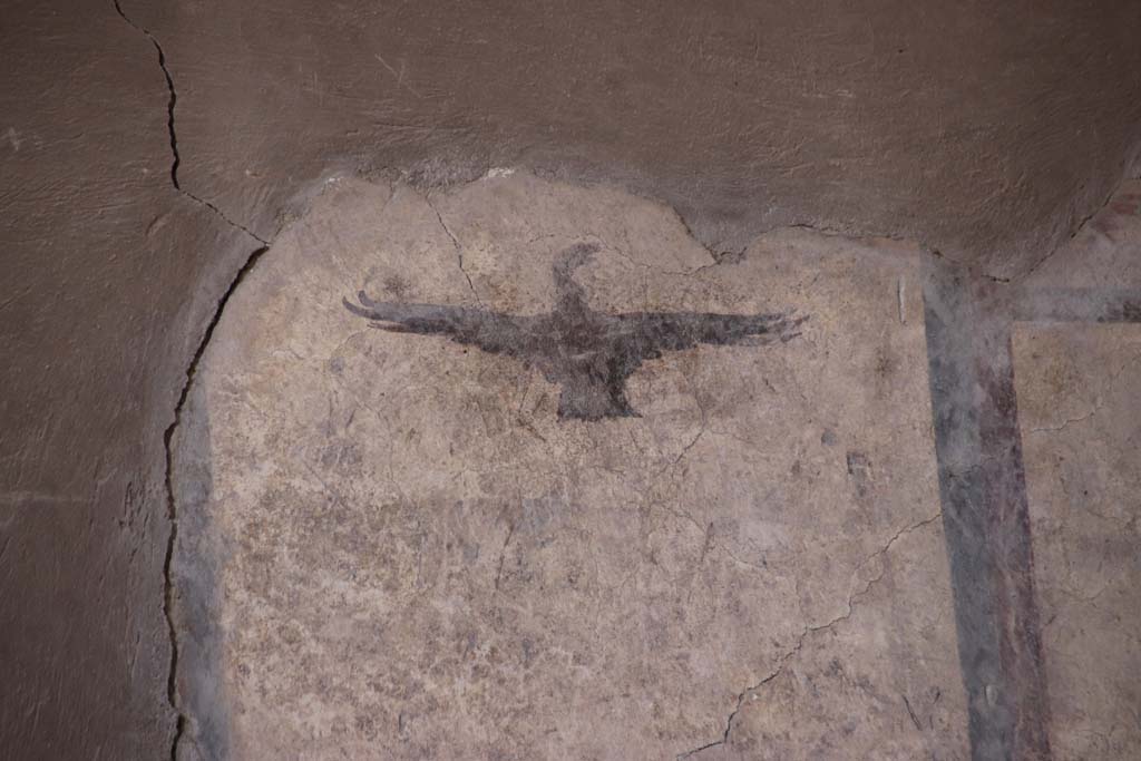 IV.21, Herculaneum. September 2019. Room 24, painted decoration of bird from upper west wall in atrium. 
Photo courtesy of Klaus Heese.
