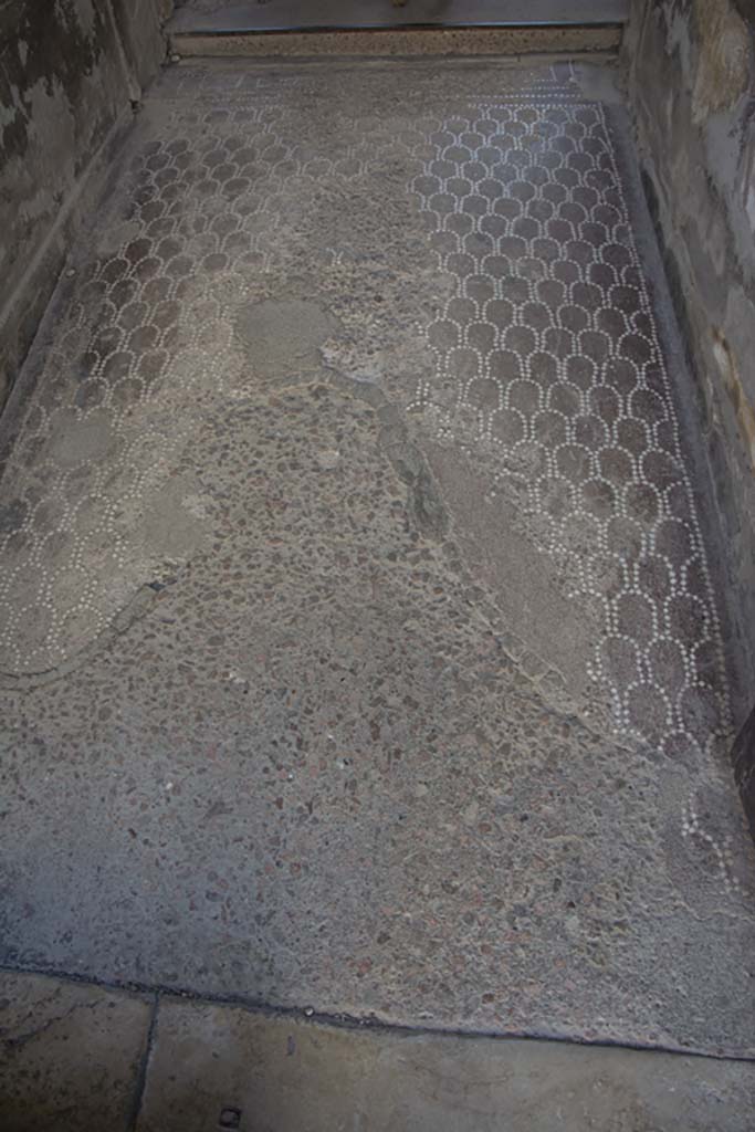 V.1 Herculaneum. March 2019. Looking east across flooring in entrance corridor.
Foto Annette Haug, ERC Grant 681269 DÉCOR.

