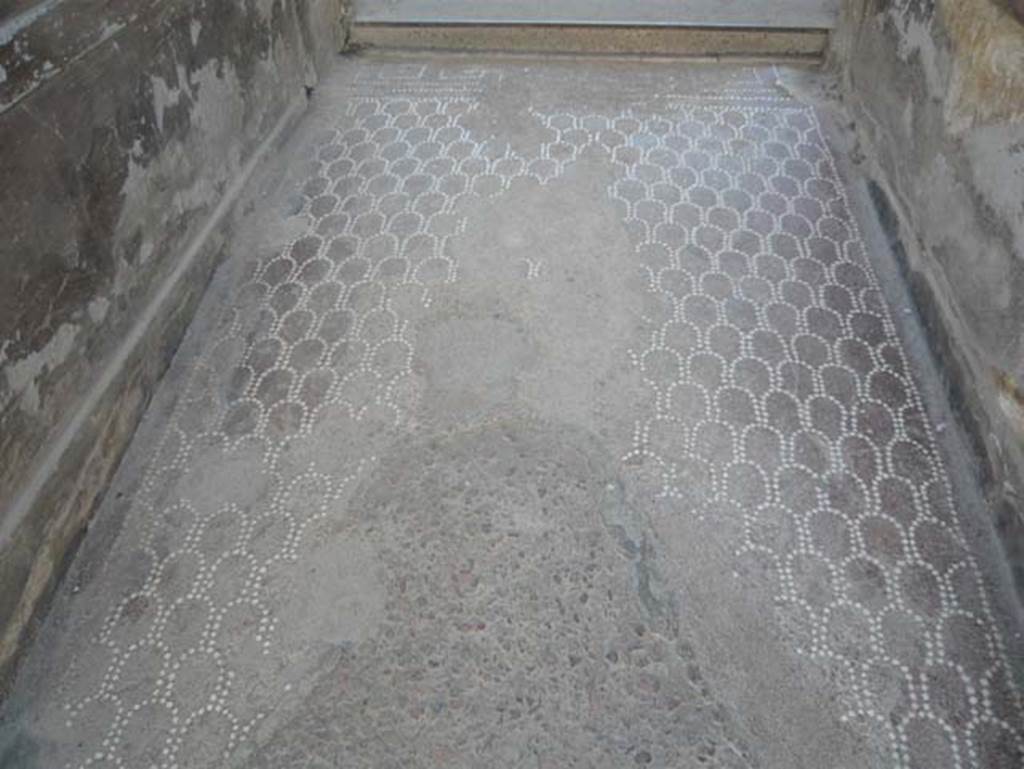V.1 Herculaneum. August 2013. 
Looking east towards atrium across opus signinum flooring in entrance corridor, consisting of a scale pattern in white tesserae. 
Photo courtesy of Buzz Ferebee.

